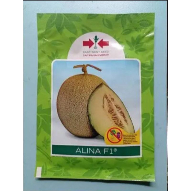 Benih bibit Melon ALINA F1 original