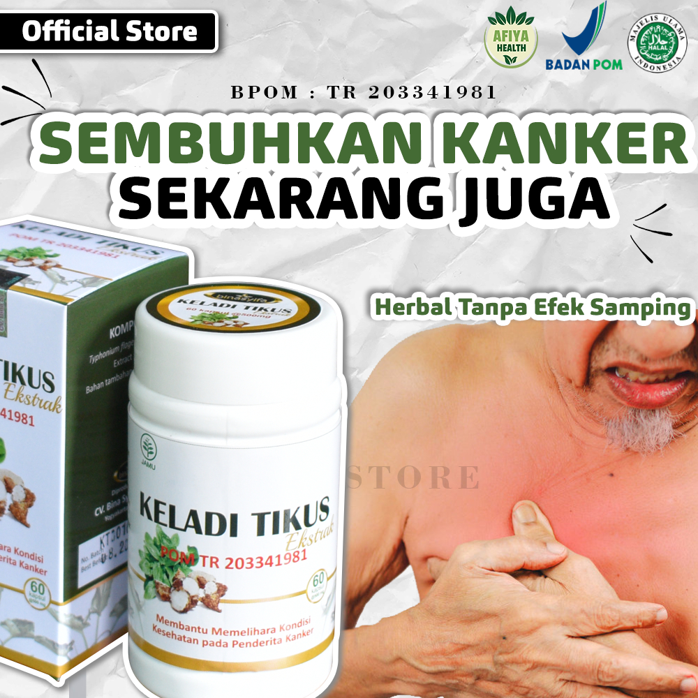 Kapsul Keladi Tikus Ampuh Kanker Mengatasi Tumor Daun Tanaman Mulut Alami Payudara Ekstrak Utama Rah