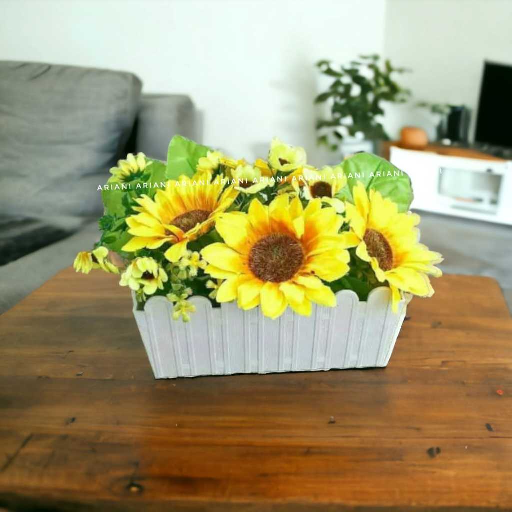 SET BUNGA KLOPAK MATAHARI DENGAN POT PLASTIK PAGAR BESAR
