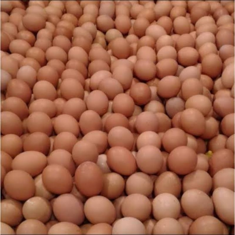 

TELUR AYAM NEGERI -/+ 1KG