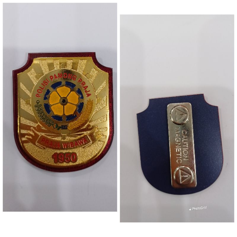 kewenangan pol.pamong praja#kewenangan pol pp