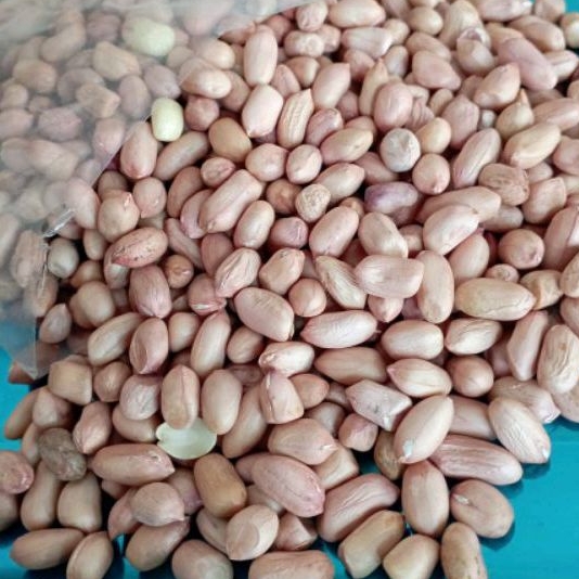 

KACANG MENTAH LOKAL GURIH 500GR