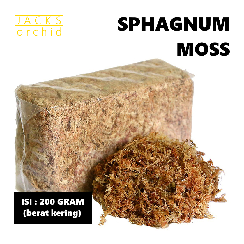 Spagnum Moss / Lumut Putih - Media Tanam Tanaman Hias Anggrek Bulan / Sphagnum Moss
