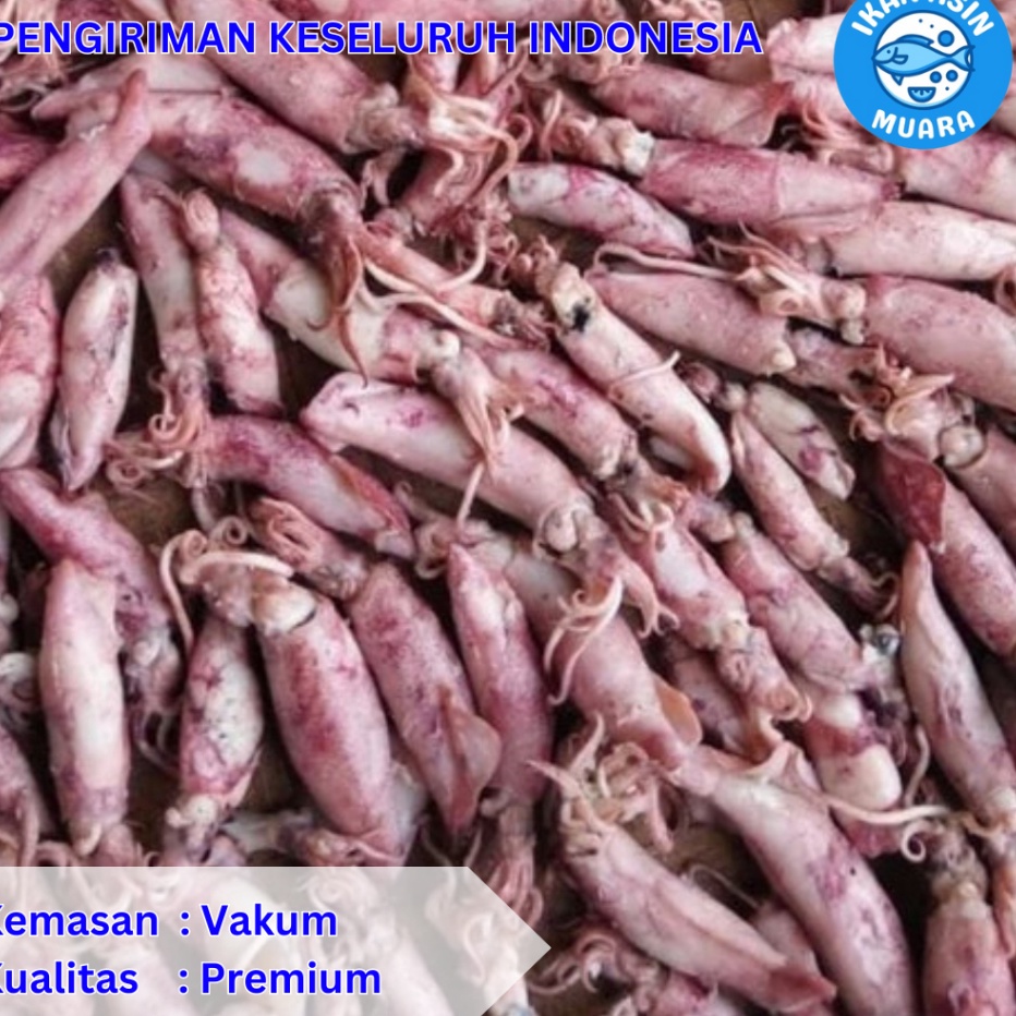 

Ready Stock Cumi Asin Kemasan Vakum 250 Gram - 500 Gram - Ikan Asin Muara Ready Stock