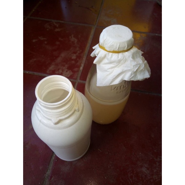 

12.12 FLASH SALE bibit Nata de coco 100 ml serbuuu !