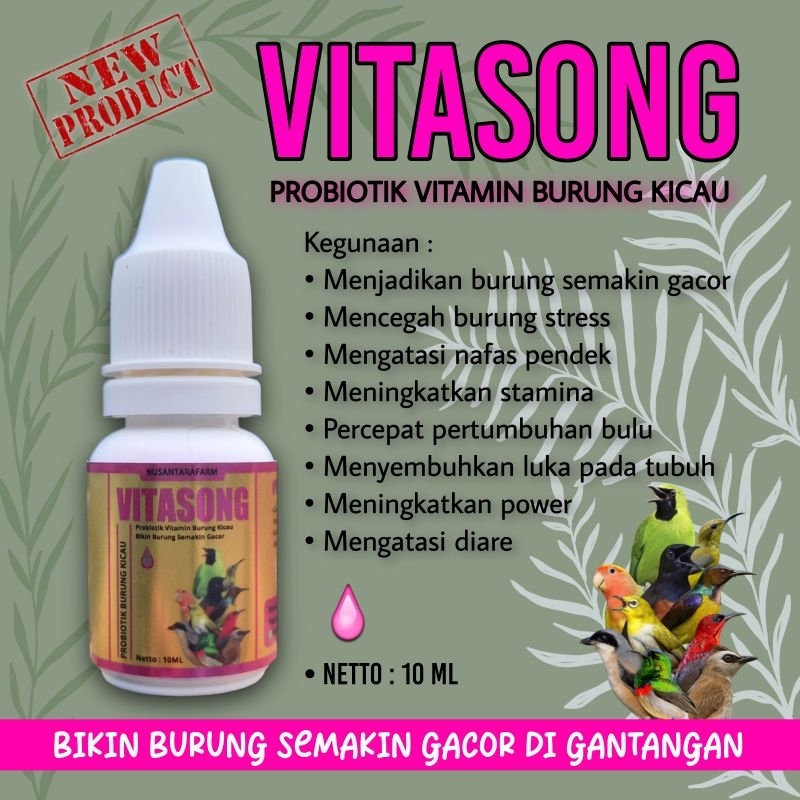 Vitasong vitamin probiotik burung kicau vitamin penggacor burung kicau 10ml