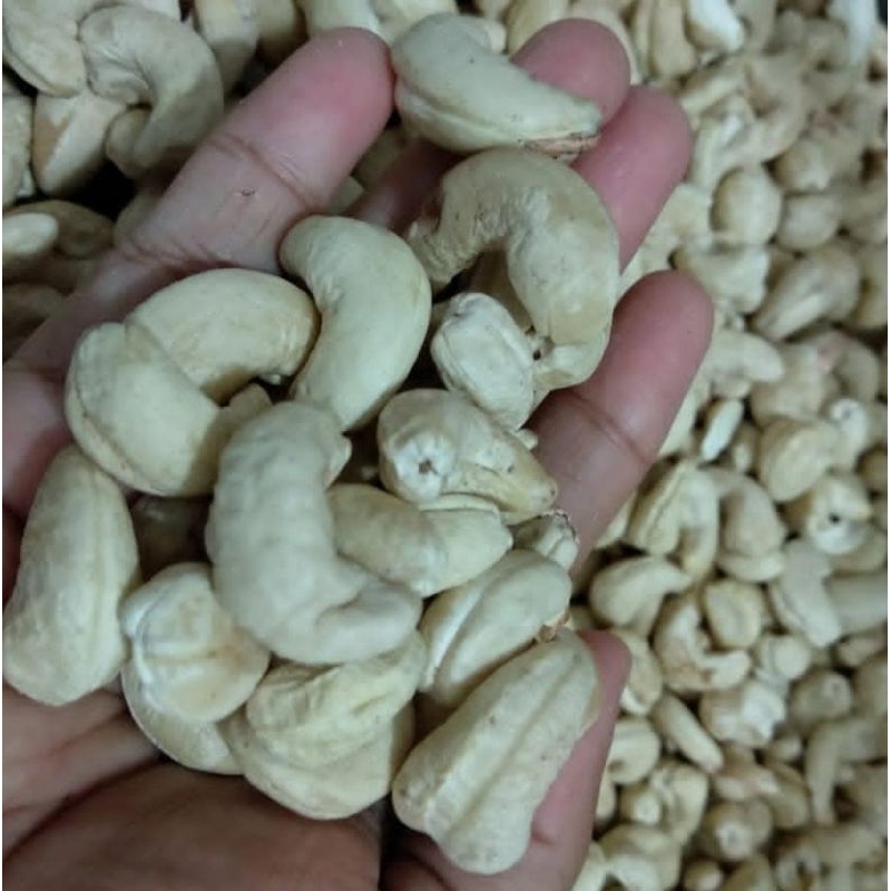 

Kacang Mete Mentah Cemilan Sehat Murah Lezat Berkualitas