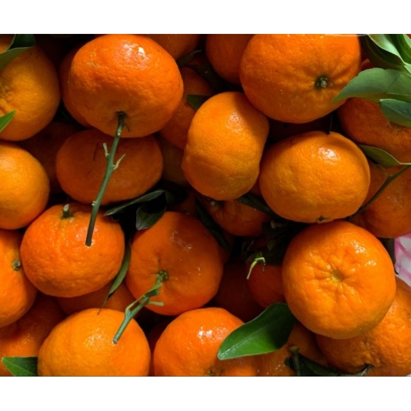 

Buah Jeruk Santang Segar 1kg