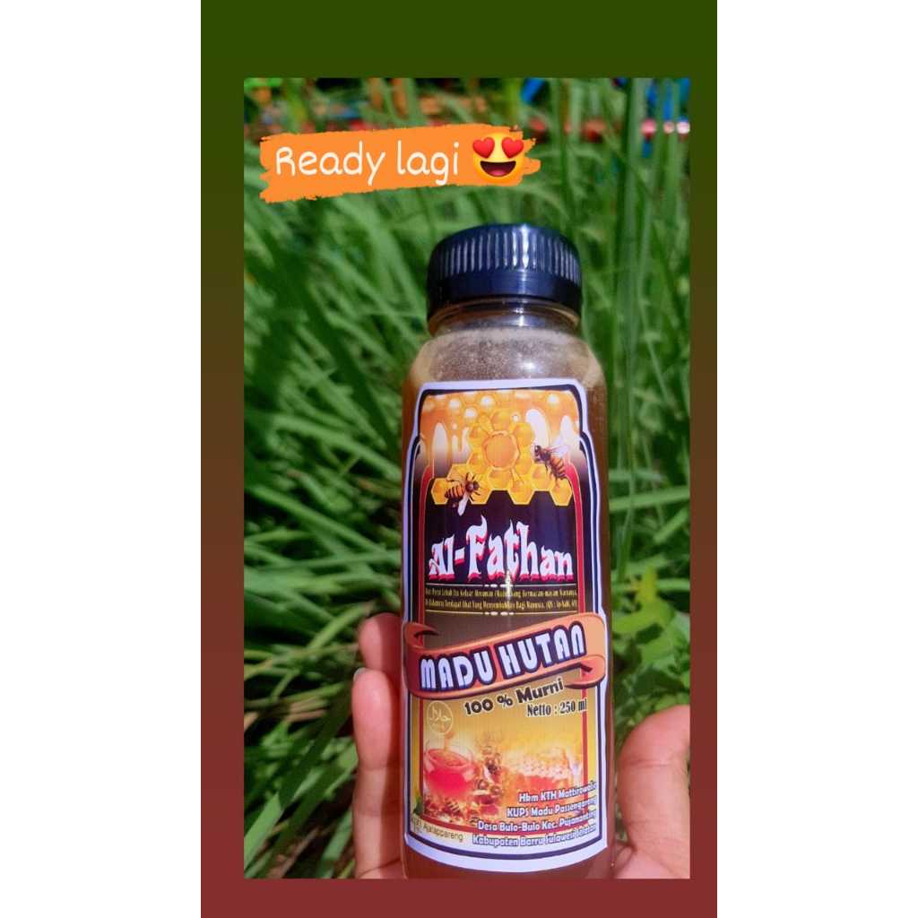 

MADU HUTAN ASLI 100 %, 250 ml ASLI dari Alam, HALAL TOYYIB