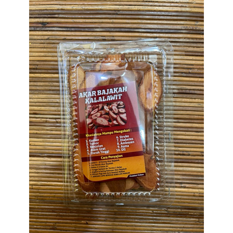 

AKAR BAJAKAH KALALAWIT MIKA BESAR