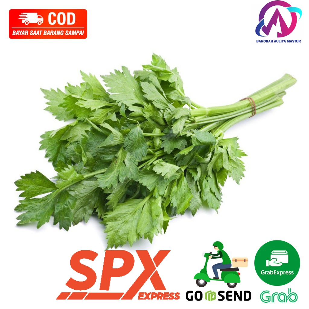 

Daun Seledri 50 Gram Bumbu Dapur Herbal Sehat BAM Pasar Online Murah Padang