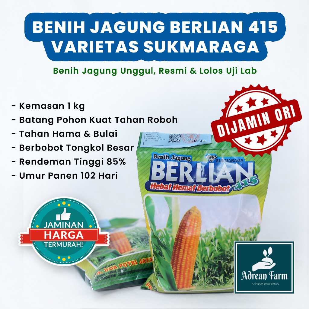 

BENIH JAGUNG BERLIAN 415 TERMURAH LANGSUNG PABRIK, TAG PERKASA, NK 212, NK SUMO, PERTIWI, BISI18, NK SUPER