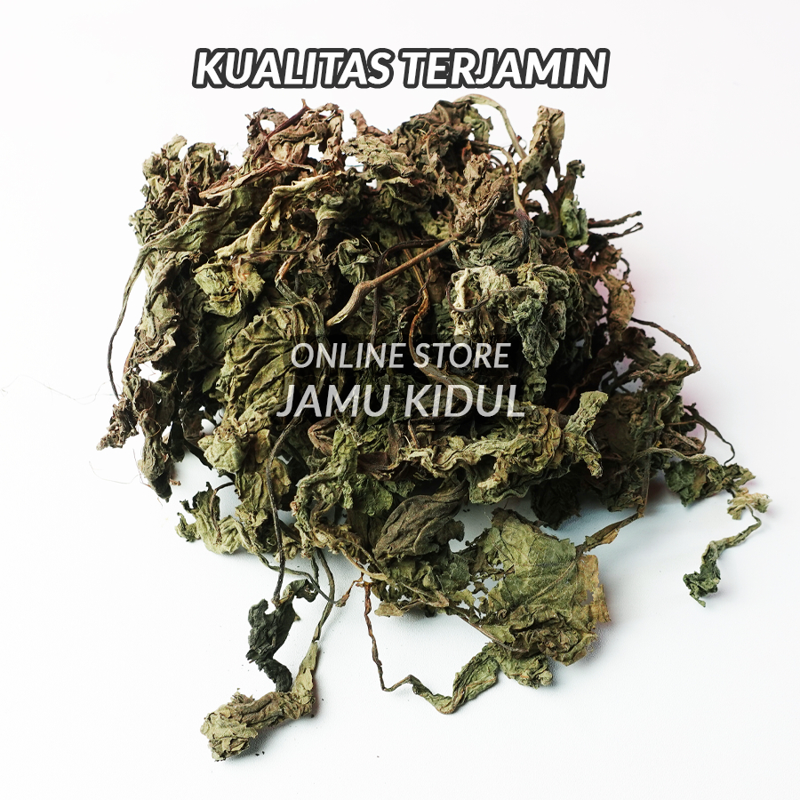 

Daun Insulin Kering 250gr (Yakon) - Herbal Untuk Diabetes