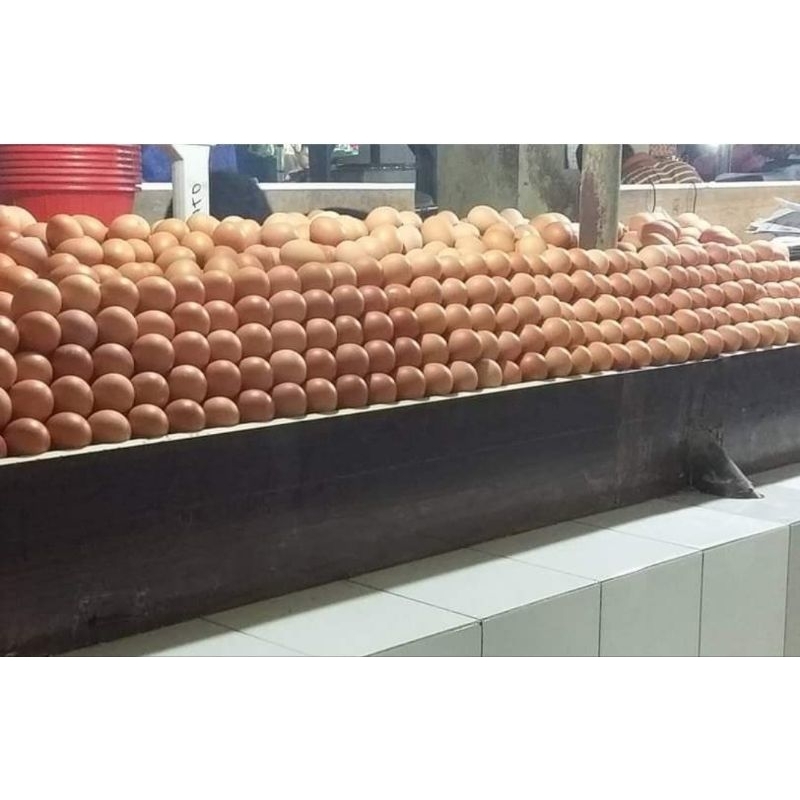 

TelorNegri Per kg