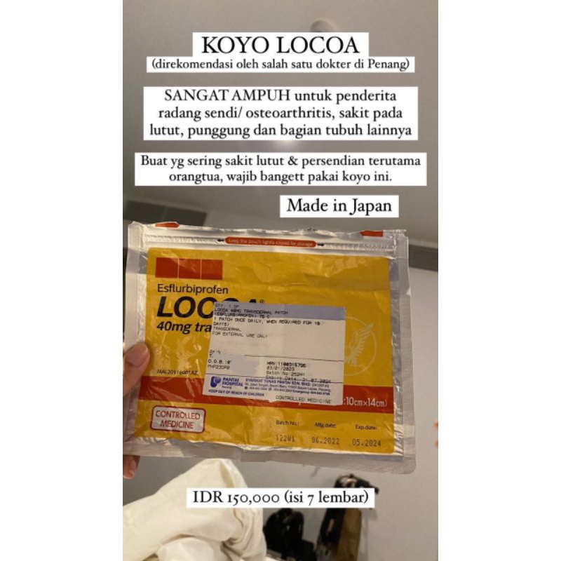 KOYO LOCOA | READY ‼️