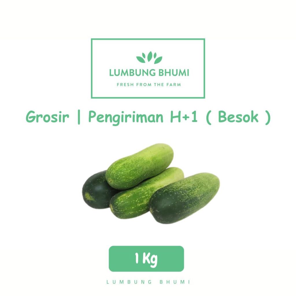 

Timun Sedang Sayur 1 Kg - Lumbung Bhumi Grosir