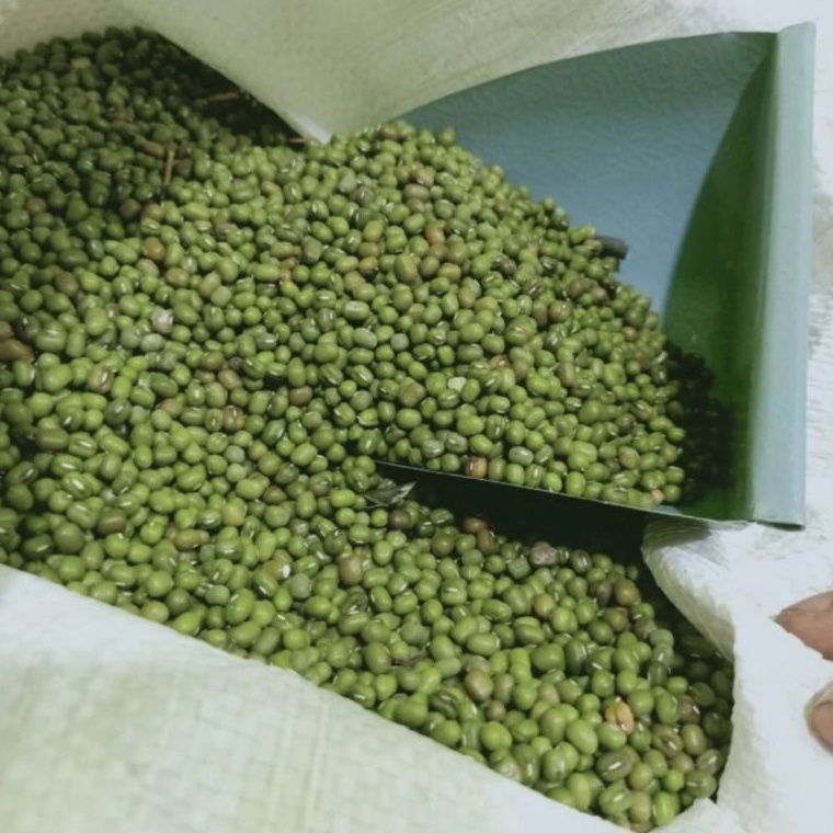 

kacang ijo Australia - kacang ijo lokal bubur 1 kg kualitas super