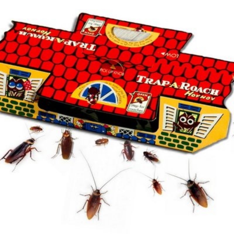 Perangkap Jebakan Kecoa Hoy Hoy Rumah Trap Roach dengan Lem dan Umpan Memikat Kecoak bisa juga untuk