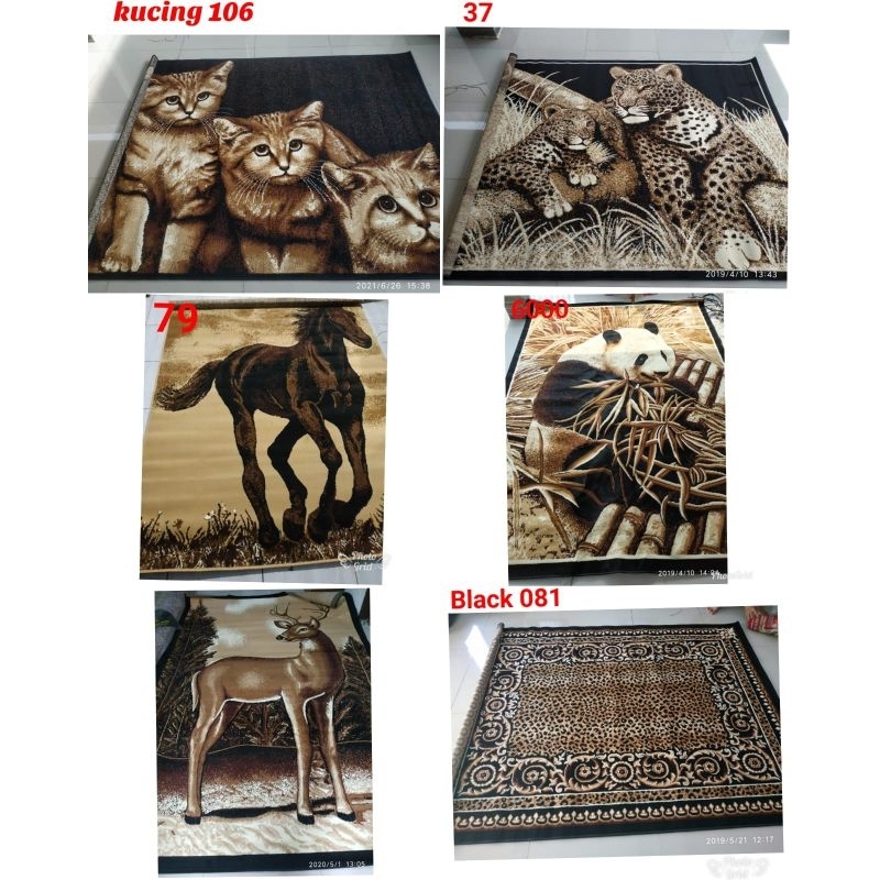 Karpet exotic africa 190x260