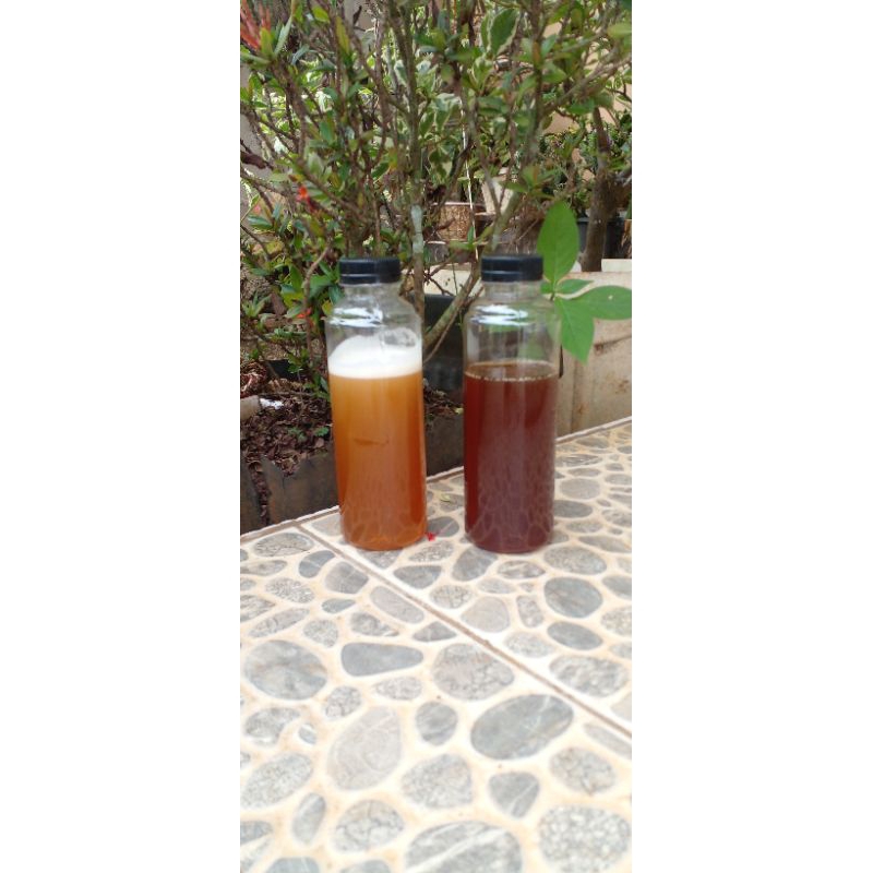 

madu klanceng murni asli 100%. 250gr