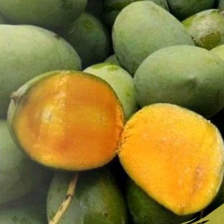 

[KODE VSZL8] MANGGA KWENI GRADE A ( PILIHAN SPESIAL )