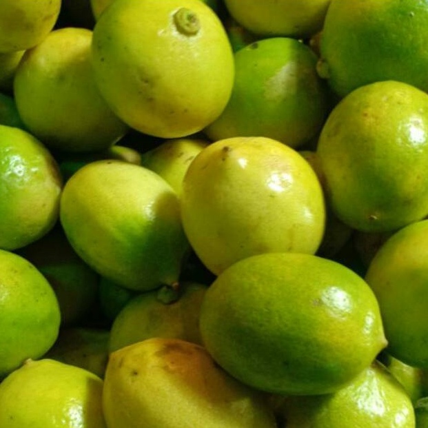 

Kode IBJ939 Jeruk Lemon 500 gr