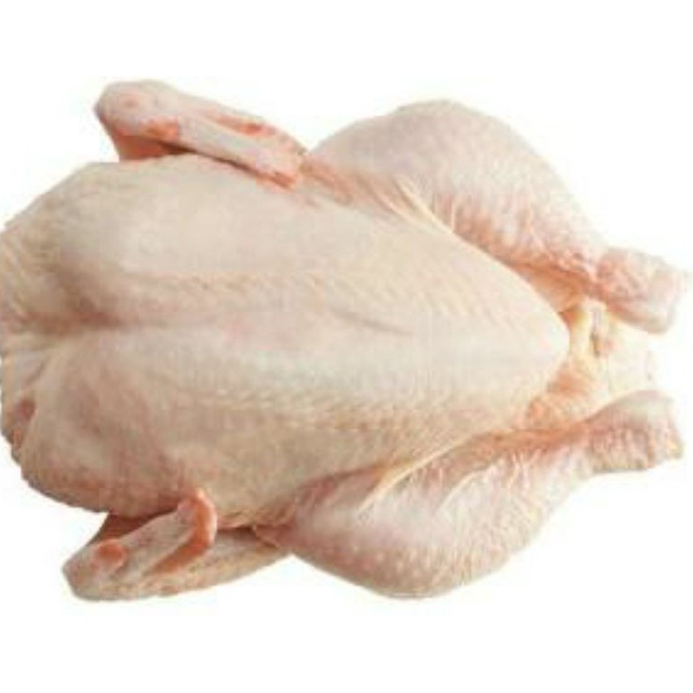 

modelTipe LEX022 Ayam Segar / Ayam Potong / Dada Fillet / Paha Fillet / Paha Ayam / Sayap / Ceker / Usus / Kulit