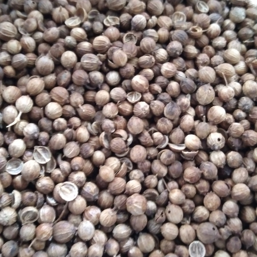 

GROSIR-Sak Ketumbar Hitam Organik tanpa proses pemutihan/bleacing / Ketumbar 25Kg/ Ketumbar Grosir/ Ketumbar Sak