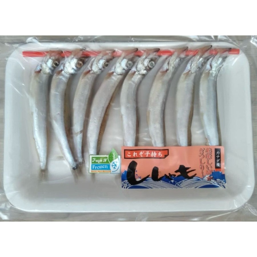 

IKAN SHISAMO FISH (Ikan Capelin)