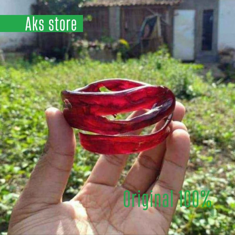 Gelang akar bahar merah kristal combong / unik
