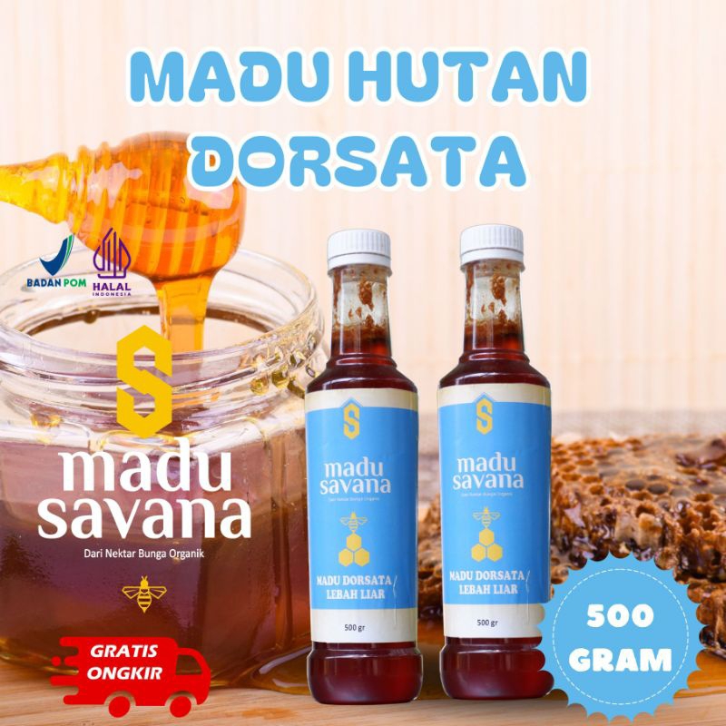 

Madu Hutan Dorsata 500 gram Promo Besar