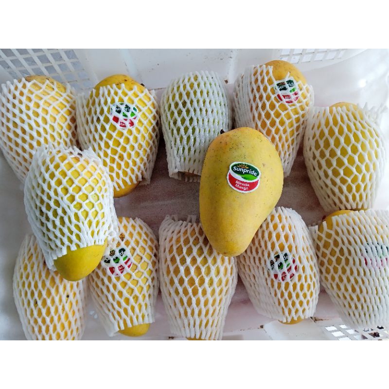 

Mangga Miracle - Miracle Mango Sunpride
