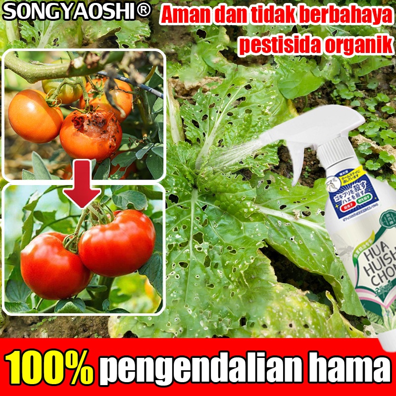 Bunuh hama dalam 1detik SYS Pembasmi Hama 300ml 100% Membunuh hama pada tanaman Lalat Buah Semut Bel