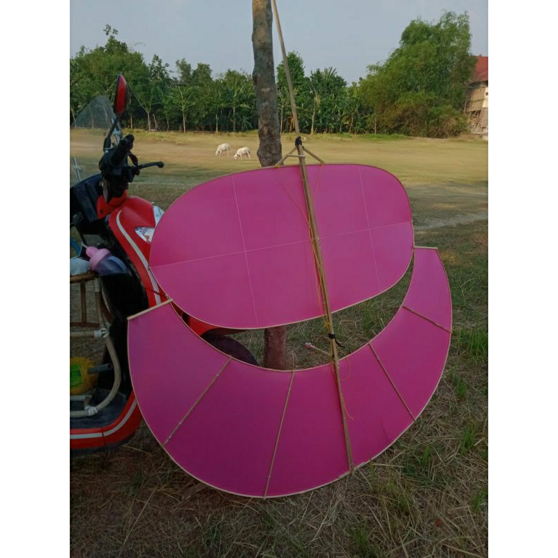 Layangan Pegon Lodoyo