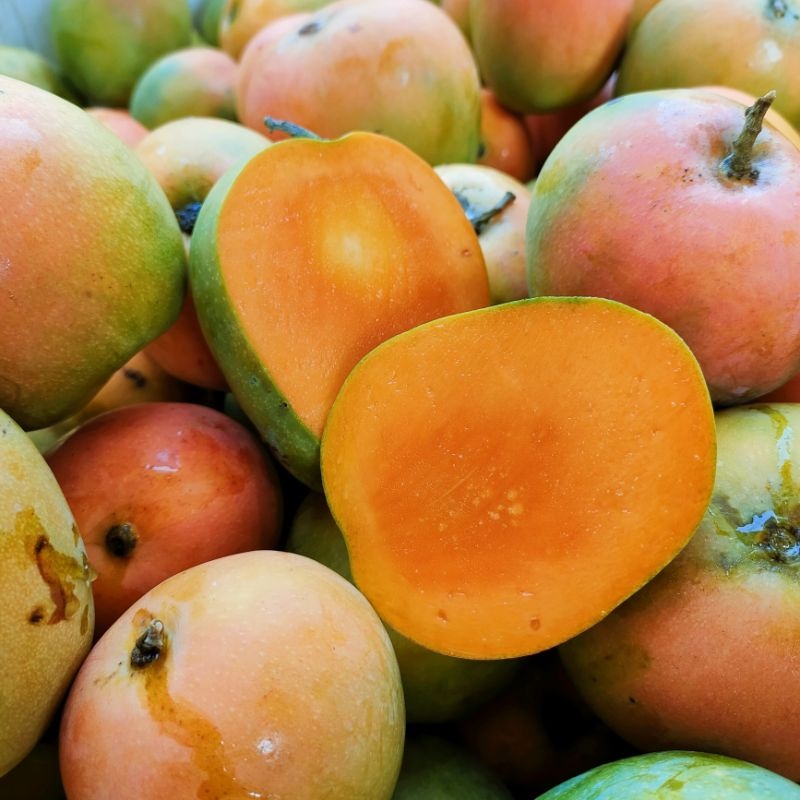

Buah Mangga Gedong Gincu Fresh 3 KG