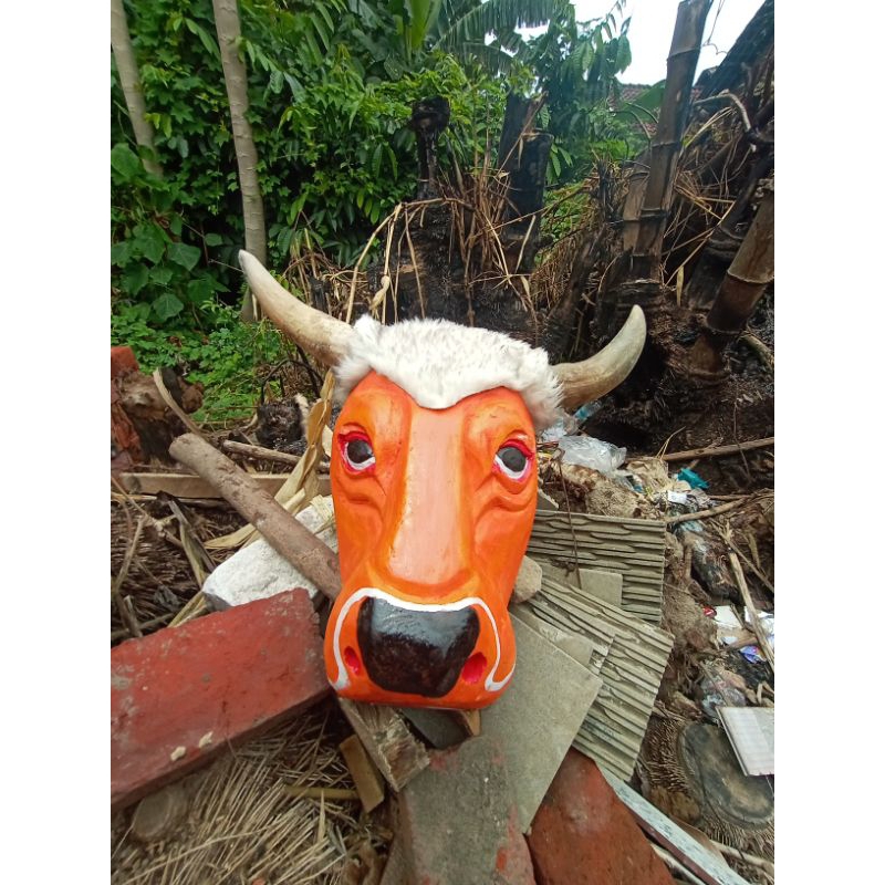 BANTENG KEREN DEWASA(TANDUK ASLI)