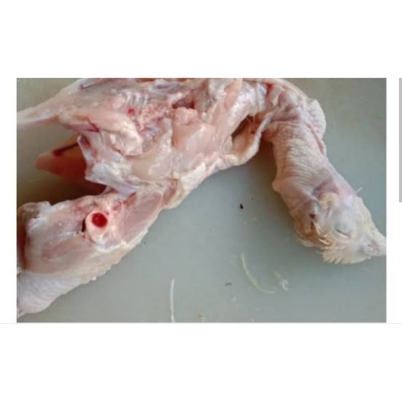 

Tulang Pala/kg (Fresh)