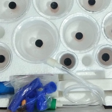 ALAT BEKAM KOP ANGIN 12 CAN VACCUM Erin MI