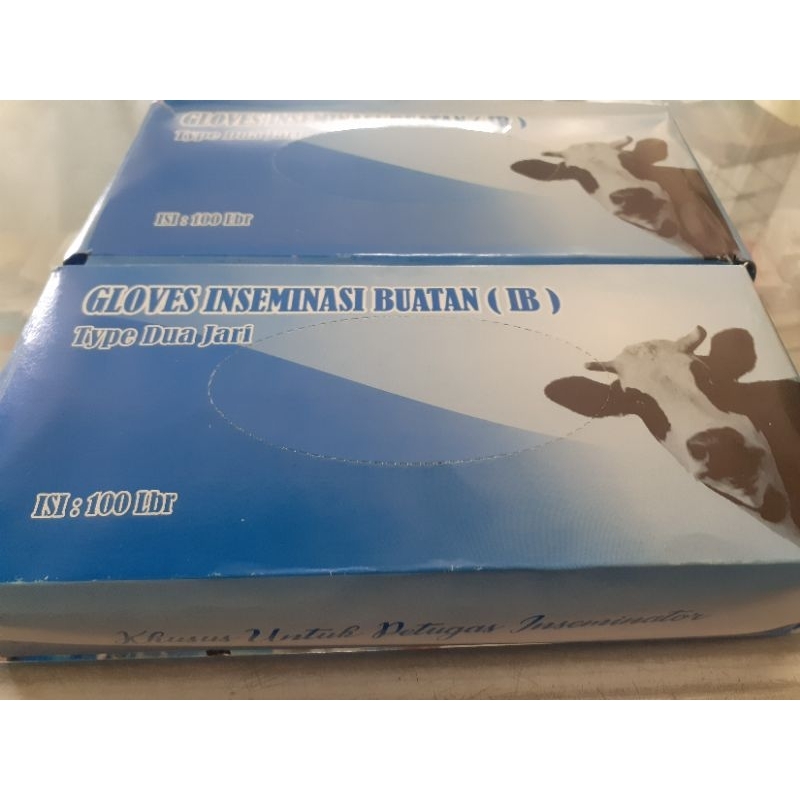 Glove sarung tangan ib isi 100