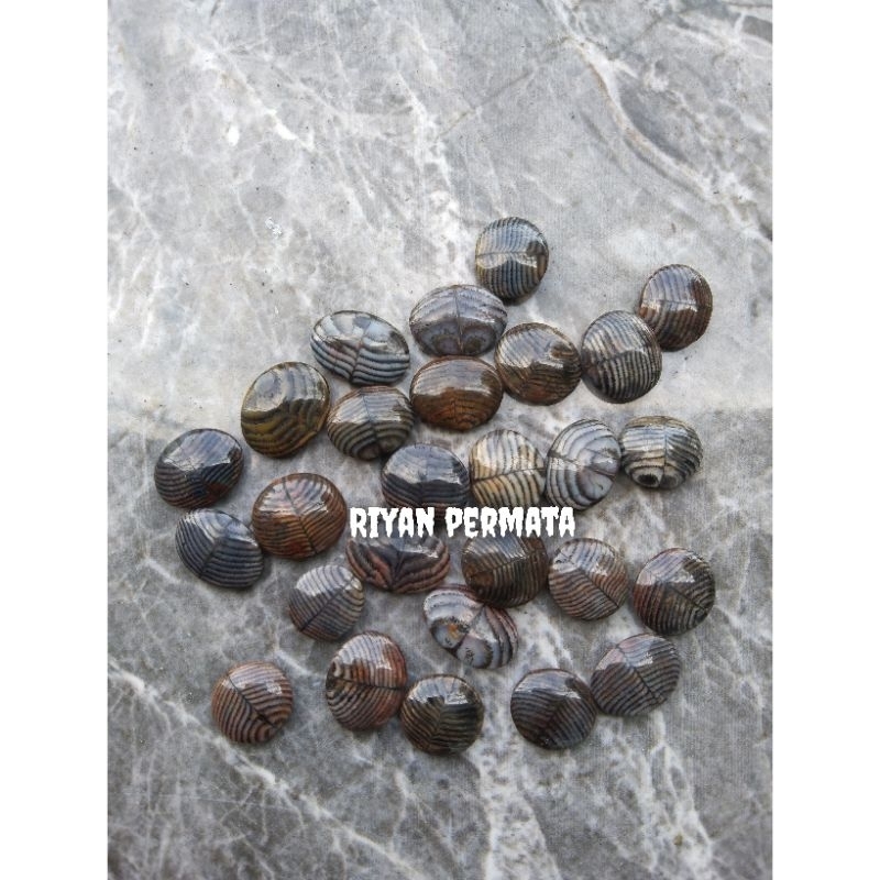 Batu jhipen sisik ular motif blarak