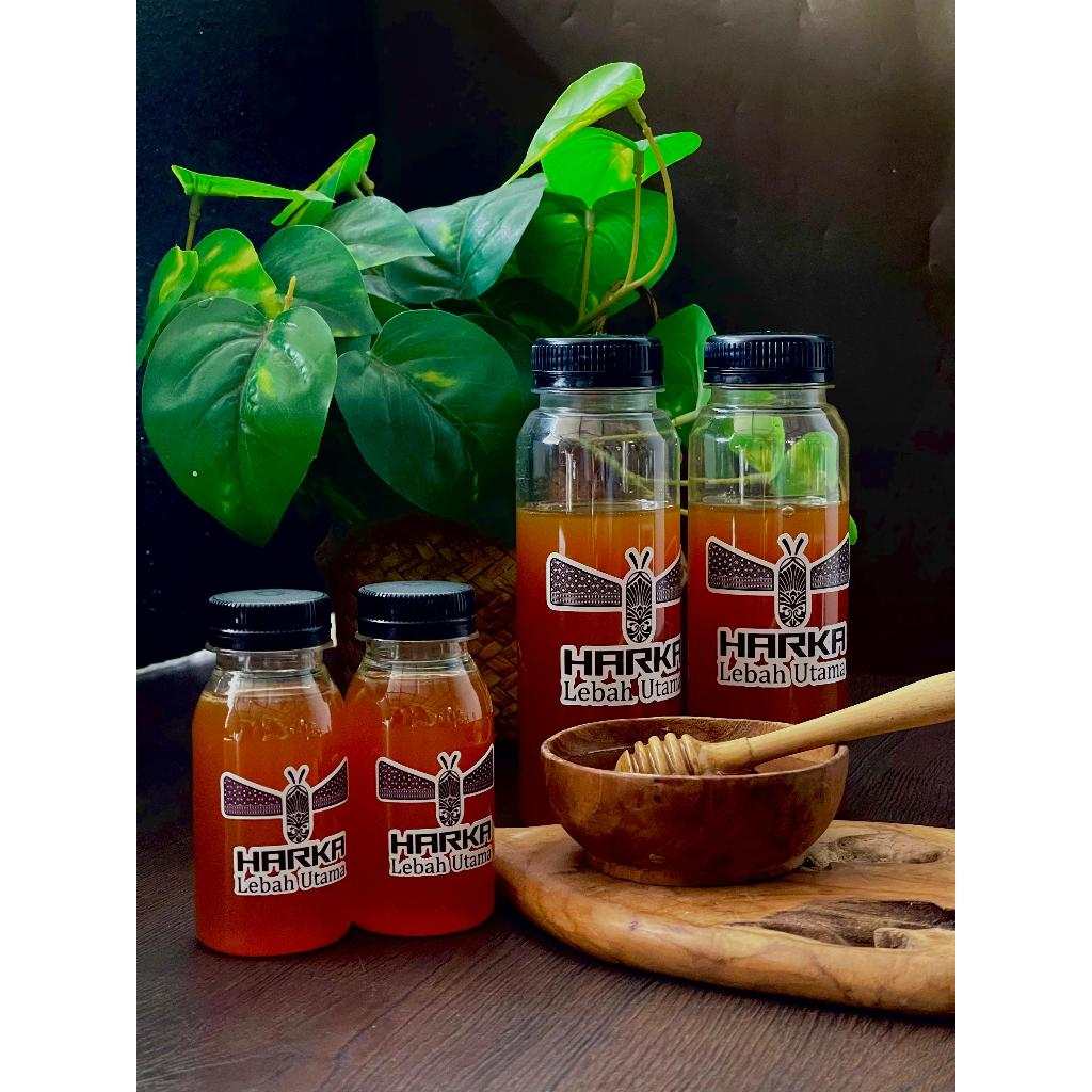 

Madu Galo-Galo atau Lebah Tanpa Sengat