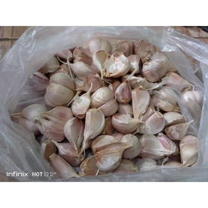 

Bawang Putih KATING