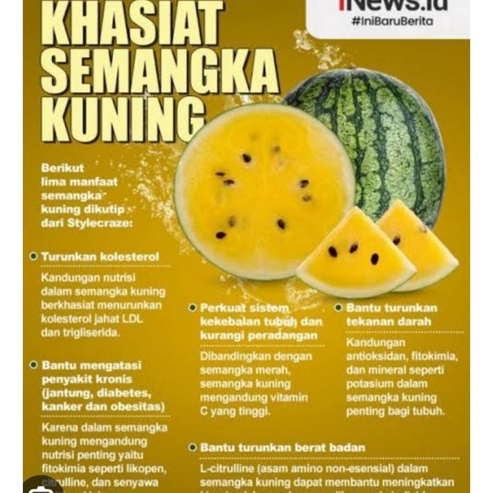 

VKJB1471 Jangan Sampai Kehabisan!!! Semangka kuning 1kg