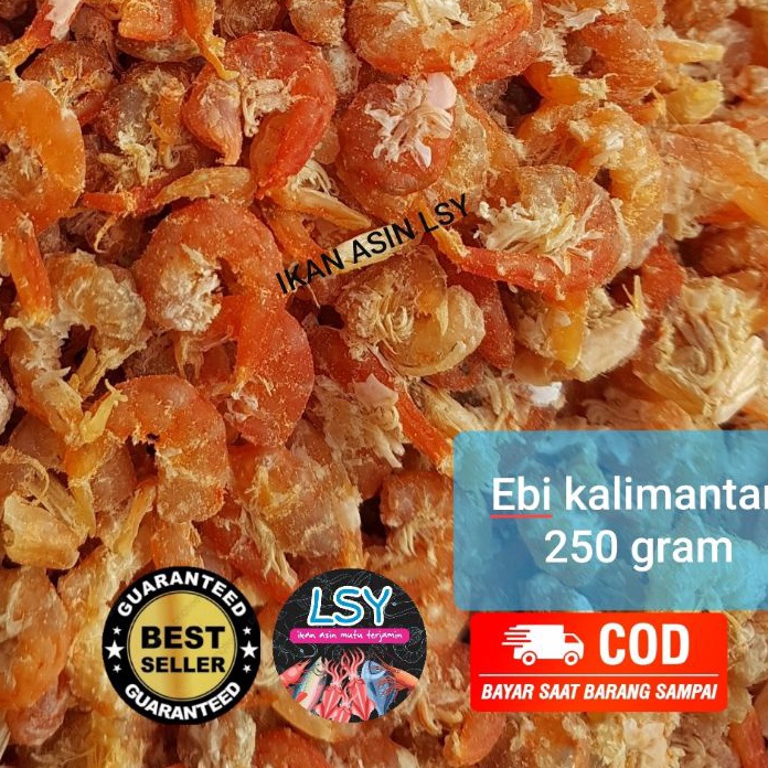 

DMDJ5205 [KODE 77] EBI KERING SUPER / UDANG EBI DAGING 250GRAM ( ASLI KALIMANTAN )