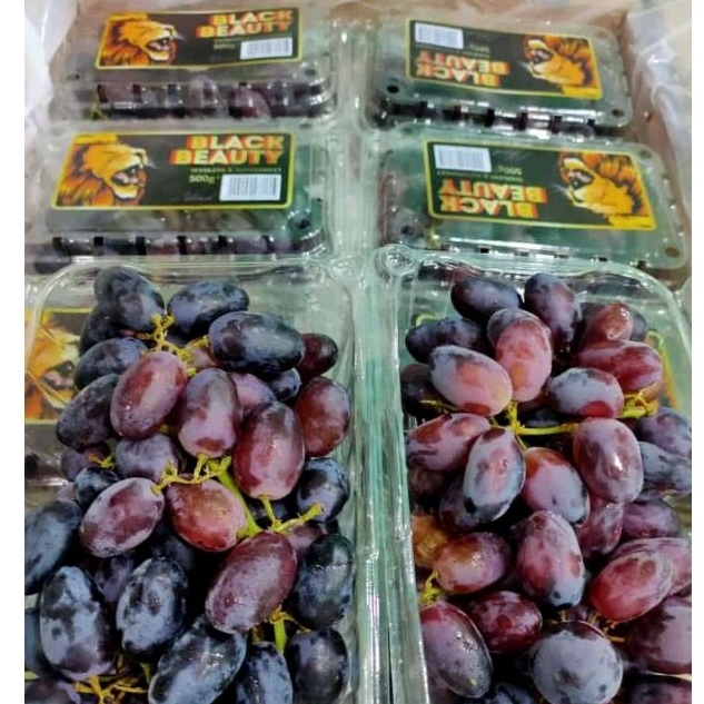 

Anggur Autum Pack 500gram