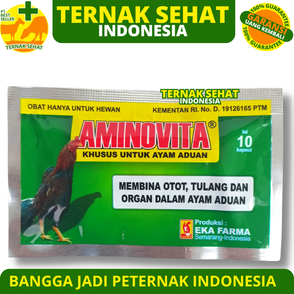 AMINOVITA 10 Kapsul - Obat Ayam Aduan Penguat Otot Tulang & Meningkatkan Kesehatan Ayam Petarung