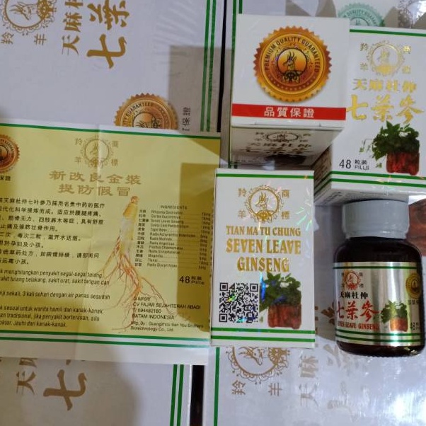 

Ready Seven leave ginseng Thian ma tu Chung cap KEPALA RUSA