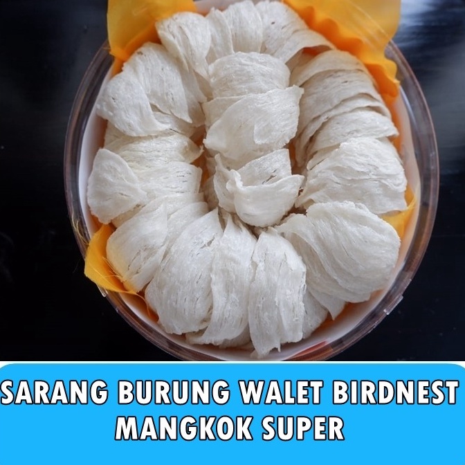 

COD Sarang Burung Walet Bersih Birdnest Mangkok Besar Premium Kualitas Export Natural Asli Yenwo Harga Per Gram 45