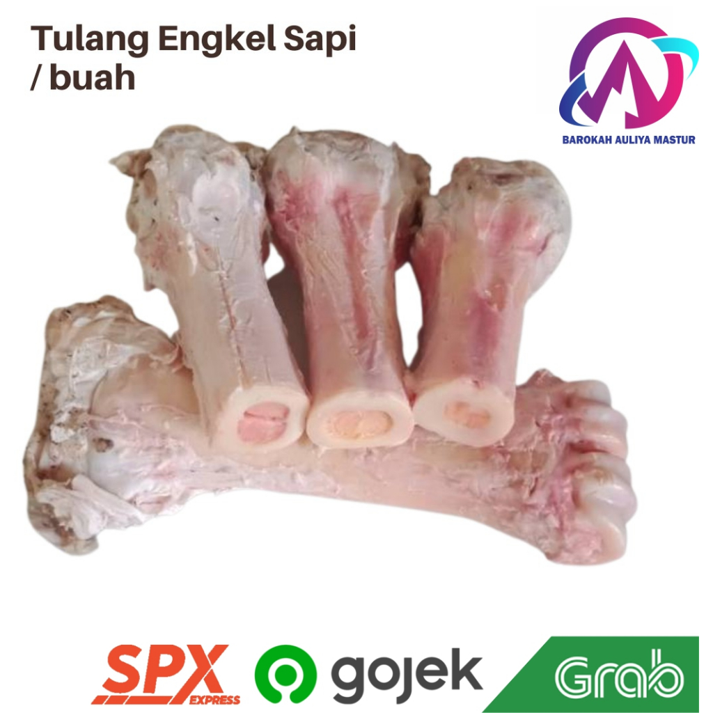 

Tulang Engkel Kaki Sapi Jawi per Potong Sumsum Sapi Kirim Instan Daging Segar BAM Pasar Online Murah Padang