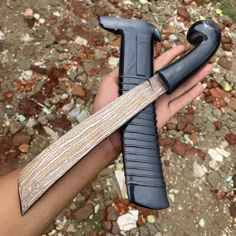 Sulangkar fulltanduk asli banten